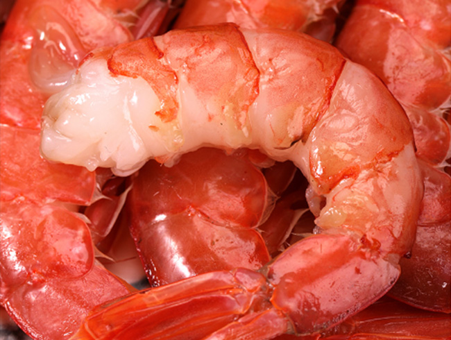 Argentine Red Shrimp